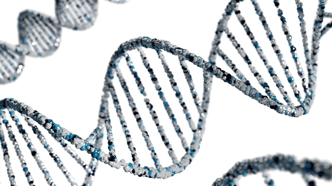 DNA-spiraler