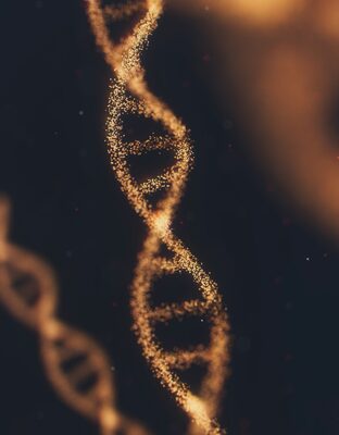 DNA-spiral
